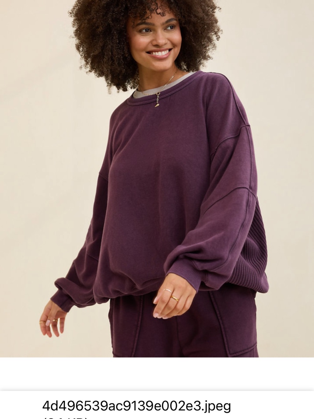 Women’s size small Aerie  Plum Long-Sleeve Crewneck Top
